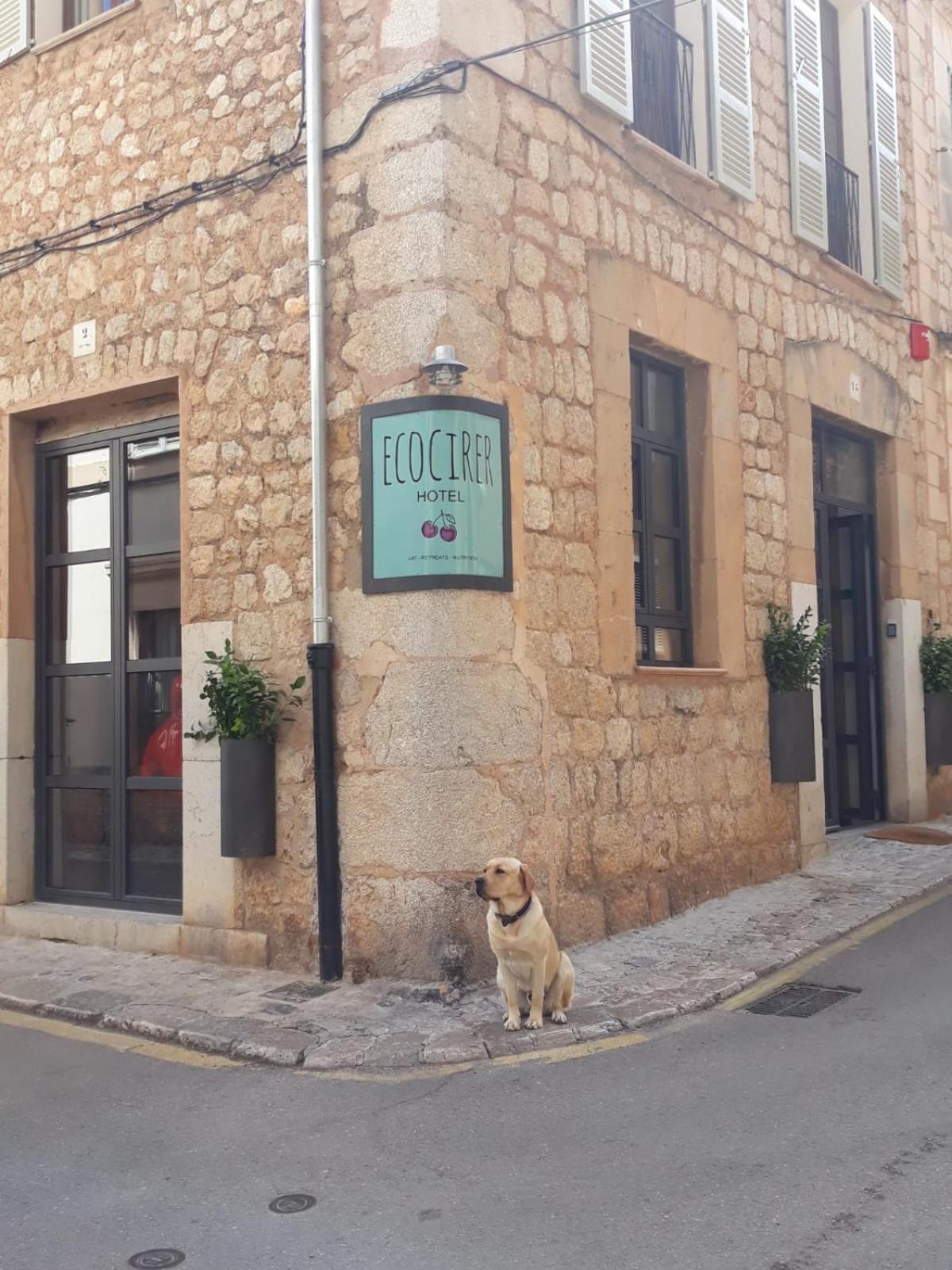 Ecocirer Healthy Stay Sóller Zewnętrze zdjęcie